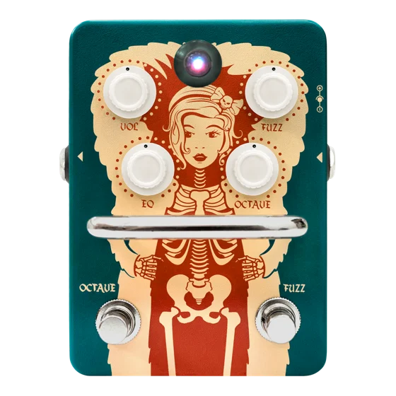Orange Fur Coat guitar effects pedal